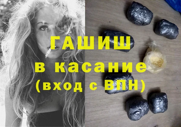 стаф Алзамай