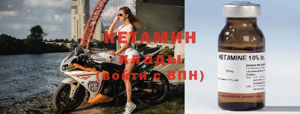 стаф Алзамай