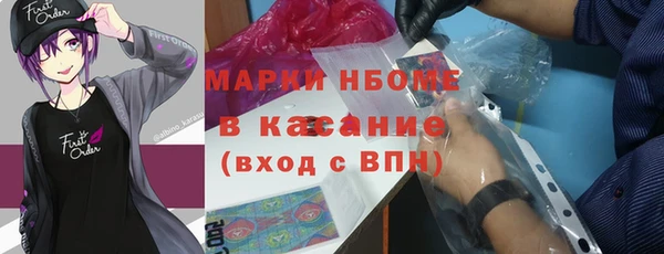 стаф Алзамай