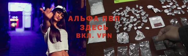 скорость Алексеевка
