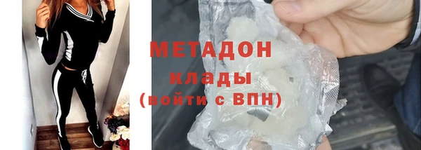стаф Алзамай