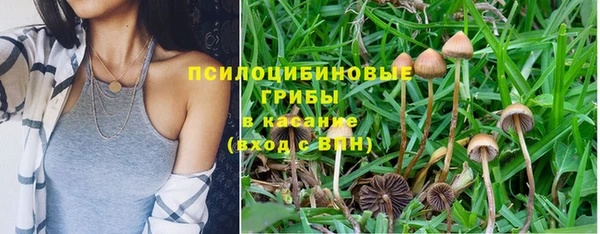 скорость Алексеевка