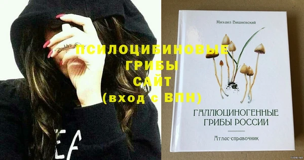 стаф Алзамай