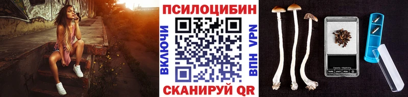 даркнет сайт  Беслан  Псилоцибиновые грибы мицелий 