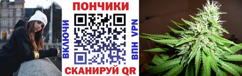 купить наркотик Беслан МАРИХУАНА сатива